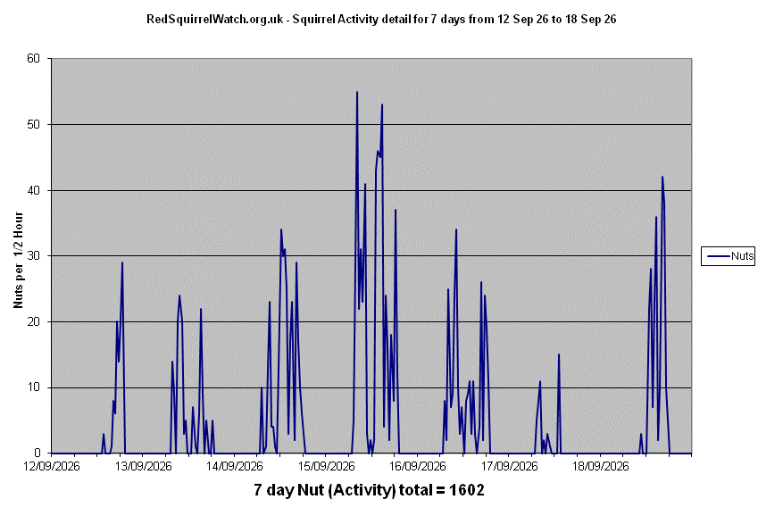Click to view Activity Detail chart full-size