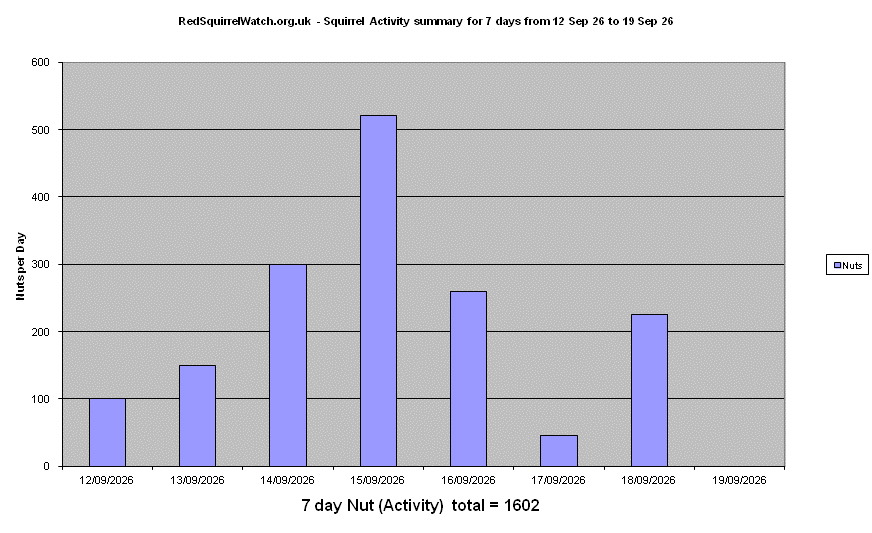 Click to view Activity Summary chart full-size