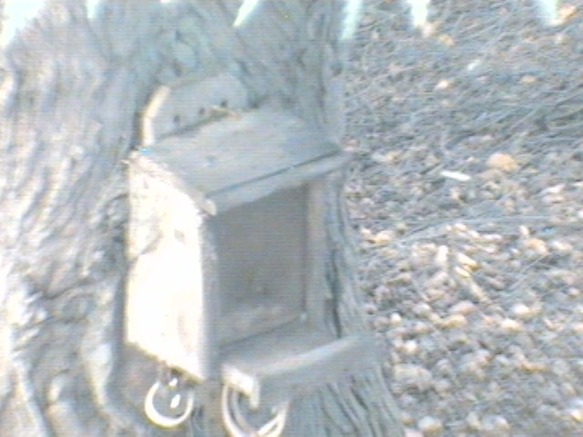 Recent Webcam Image